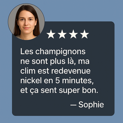 Nettoyant Climatiseur